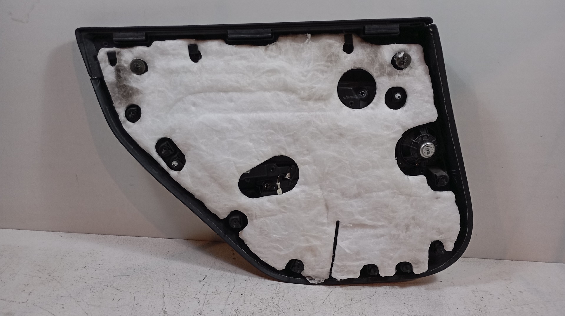 Quartela / Forra Porta Traseira Direita TESLA MODEL 3 (5YJ3) | 17 -  Imagem-1