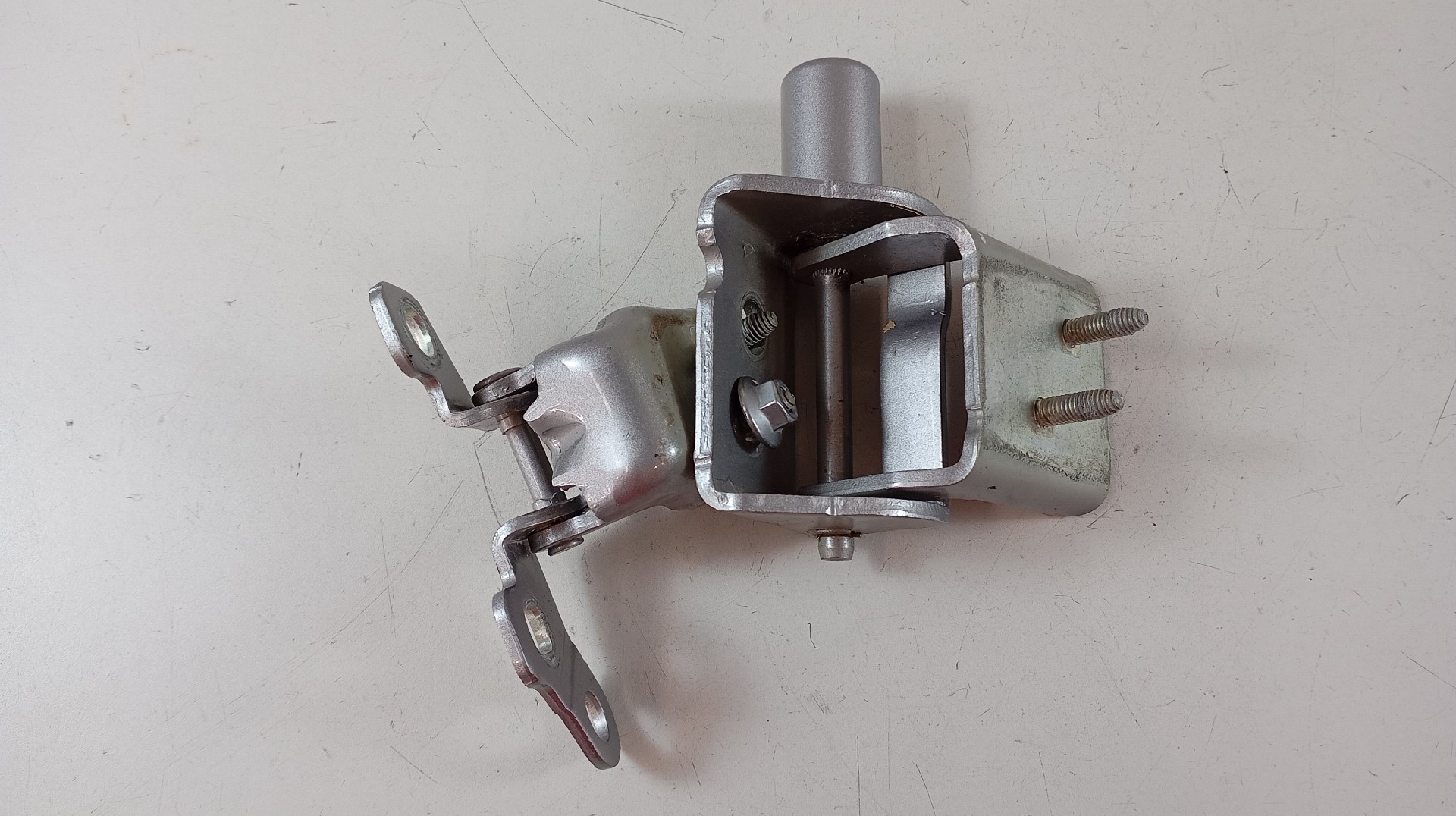 Dobradiça Porta Traseira Esquerda RENAULT ZOE (BFM_) | 12 - 