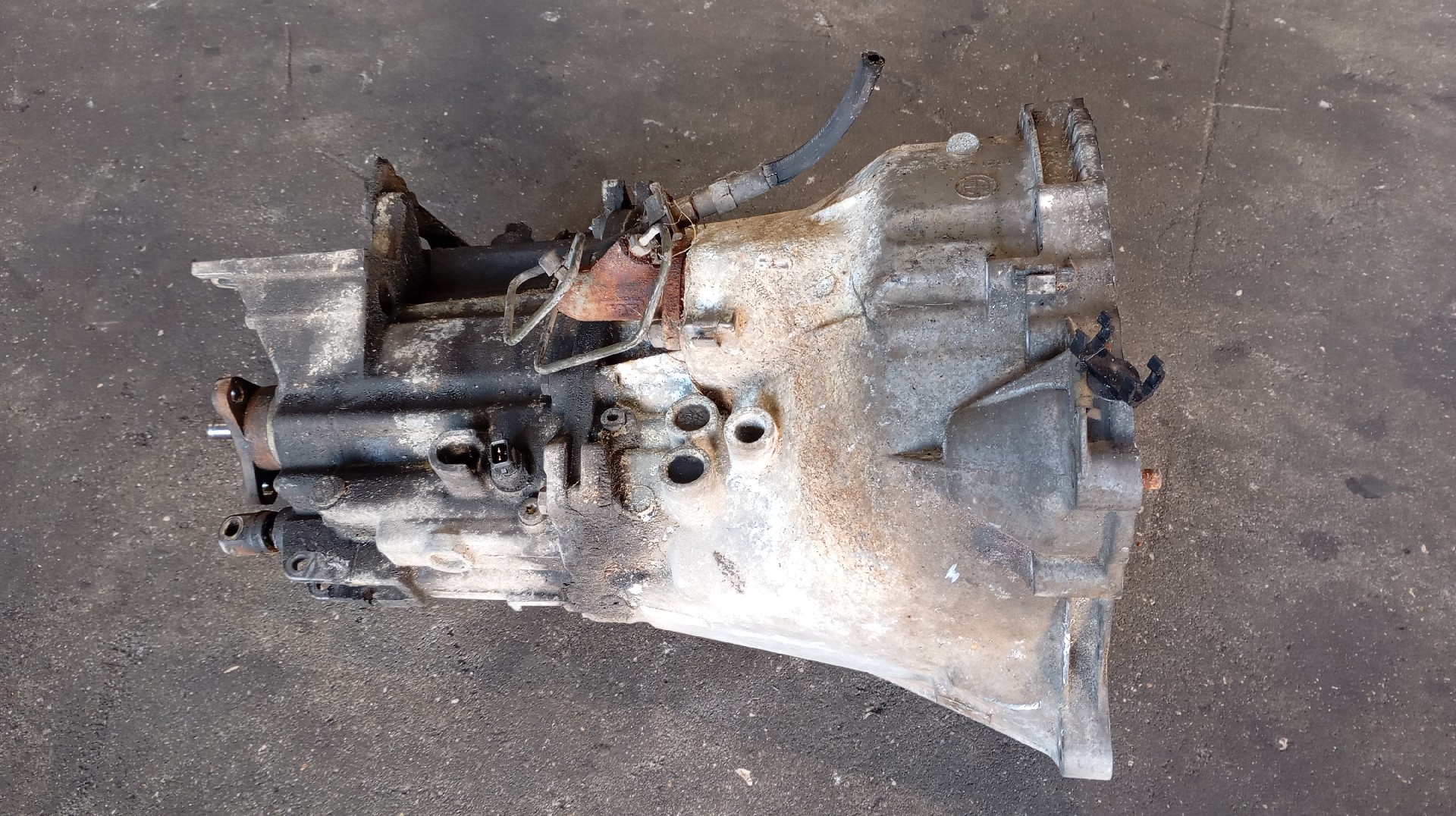 Caja de Cambio BMW 318 tds Touring (E36)