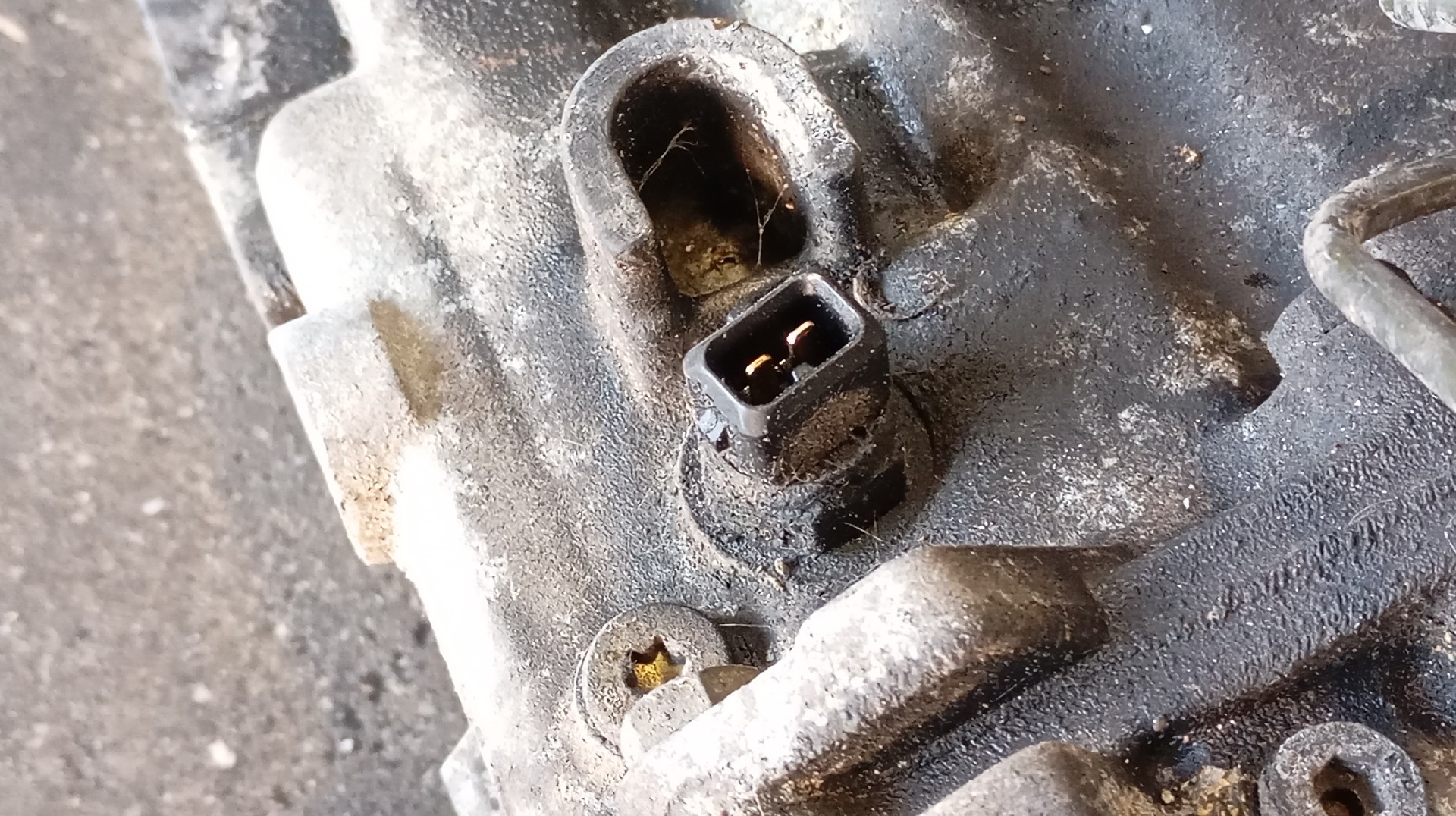 Caja de Cambio BMW 318 tds Touring (E36) Imagem-4