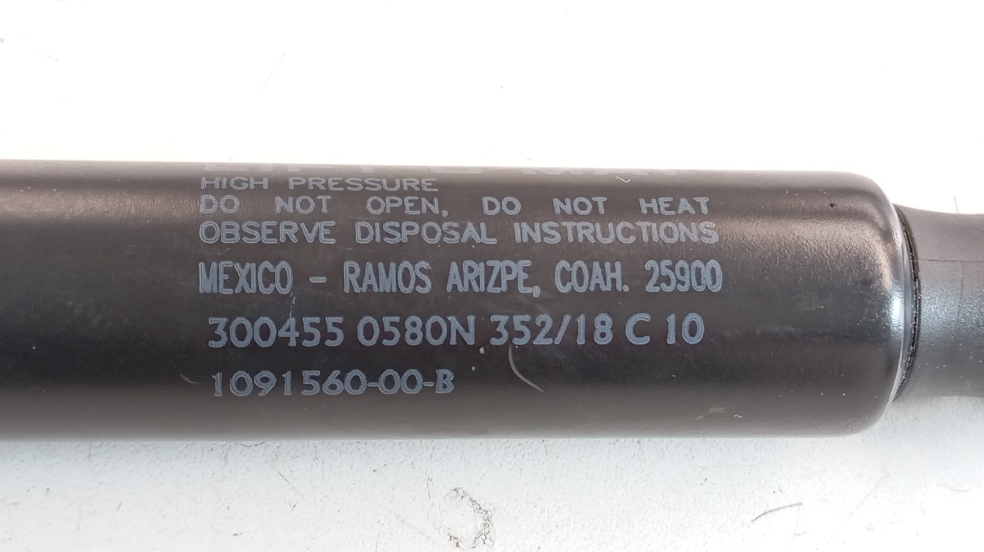 Amortecedor Bagageira TESLA MODEL 3 (5YJ3) | 17 -  Imagem-1