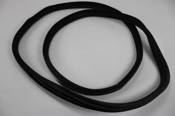 Borracha Porta Frente Direita RENAULT ZOE (BFM_) | 12 - 