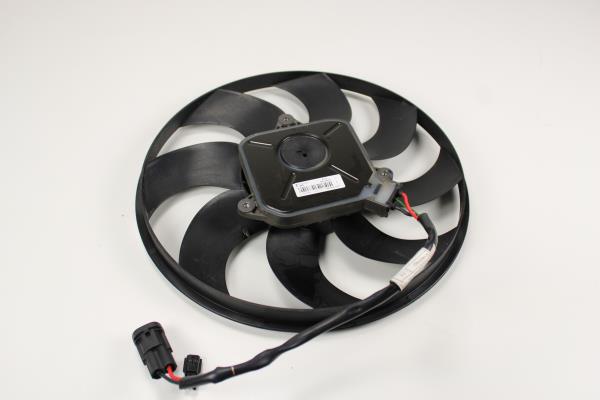 Ventoinha do Radiador RENAULT ZOE (BFM_) | 12 - 