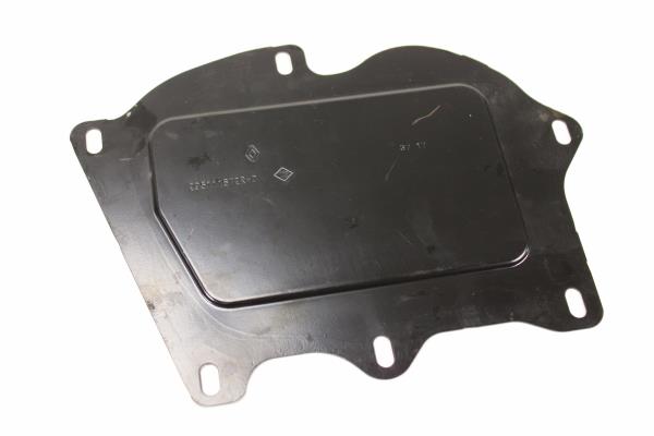 Tampa Service Plug RENAULT ZOE (BFM_) | 12 - 