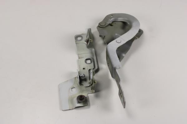 Dobradiça do Capot RENAULT ZOE (BFM_) | 12 - 