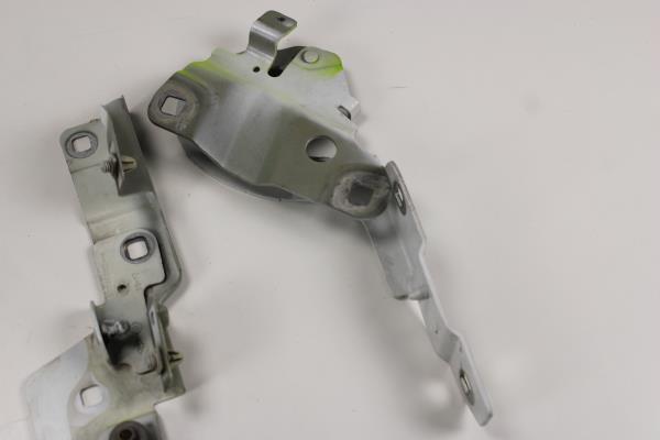 Dobradiça do Capot RENAULT ZOE (BFM_) | 12 -  Imagem-1