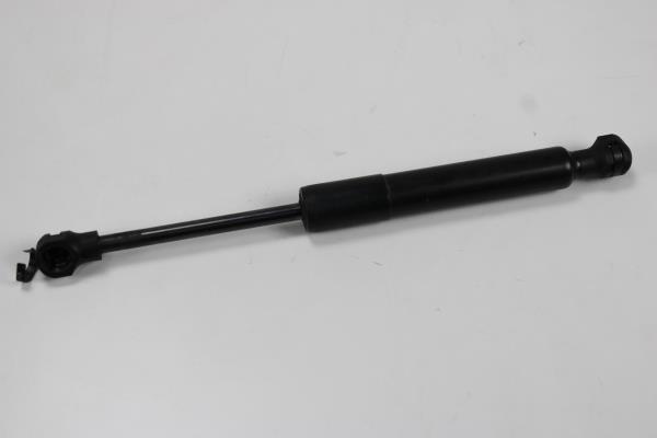 Amortecedor Capot RENAULT ZOE (BFM_) | 12 - 