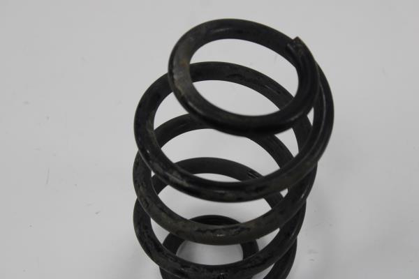 Mola Suspensão Traseira RENAULT ZOE 2019- Imagem-1