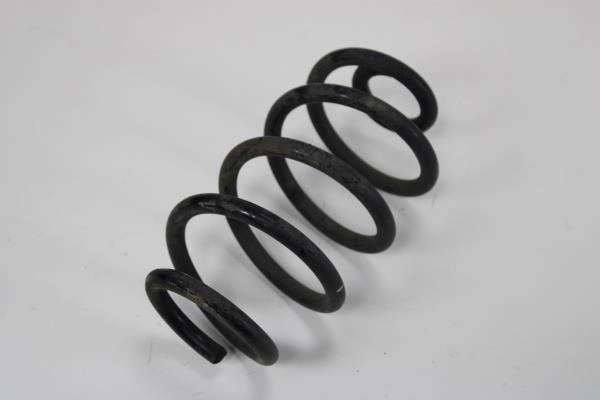 Mola Suspensão Traseira RENAULT ZOE 2019- Imagem-2