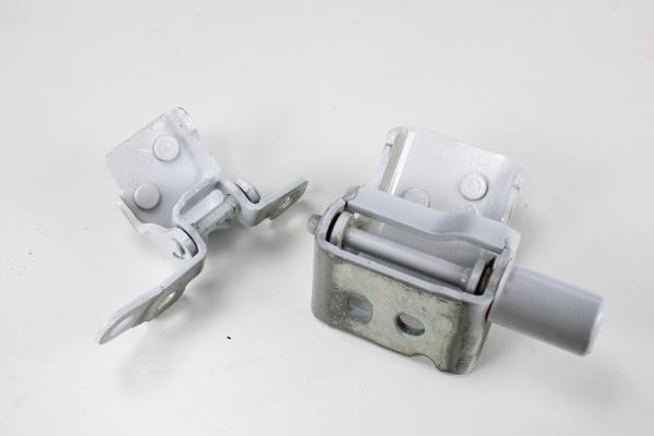 Dobradiça Porta Traseira Esquerda RENAULT ZOE 2019-