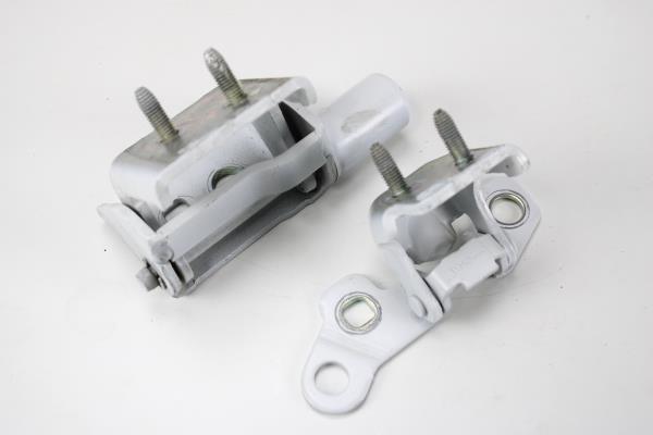 Dobradiça Porta Traseira Esquerda RENAULT ZOE 2019- Imagem-2