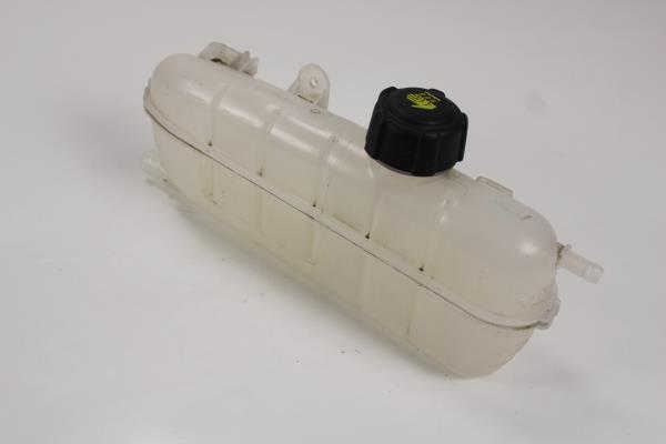 Vaso Expansão RENAULT ZOE 2017- Imagem-2