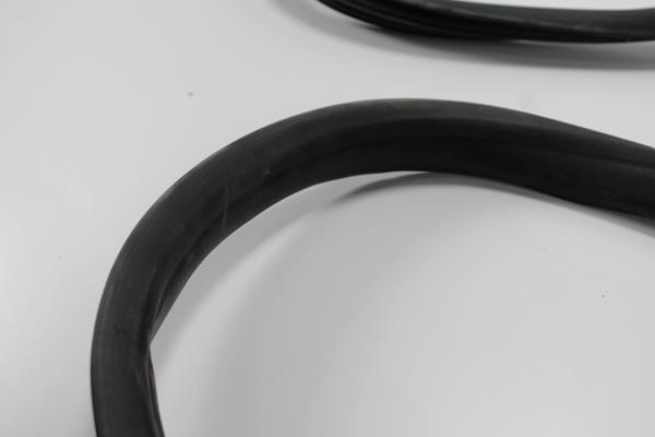 Borracha Porta Frente Direita RENAULT ZOE (BFM_) | 12 -  Imagem-1