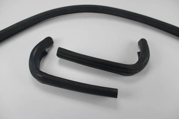 Borracha do Curcuvan RENAULT ZOE (BFM_) | 12 - 