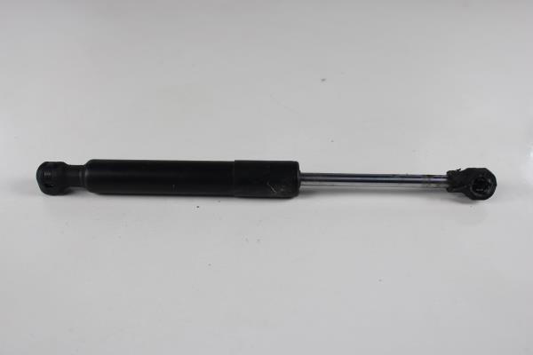 Amortecedor Capot RENAULT ZOE (BFM_) | 12 - 