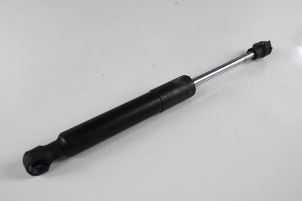 Amortecedor Capot RENAULT ZOE (BFM_) | 12 -  Imagem-1