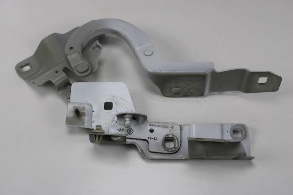 Dobradiça do Capot RENAULT ZOE (BFM_) | 12 - 