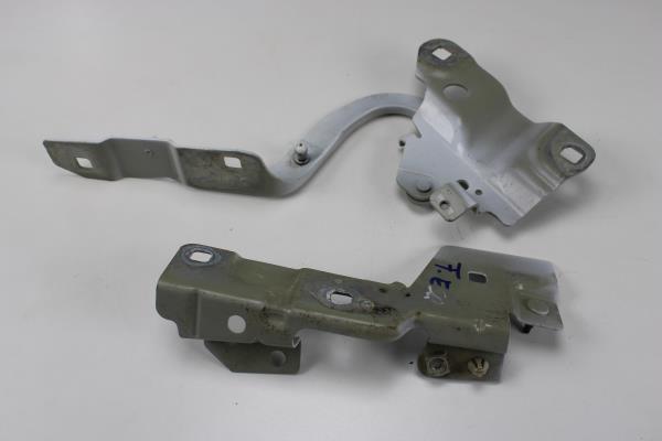 Dobradiça do Capot RENAULT ZOE (BFM_) | 12 -  Imagem-1