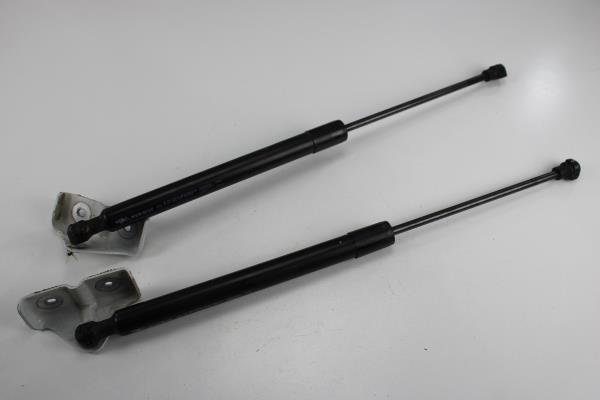 Amortecedor Bagageira RENAULT ZOE (BFM_) | 12 - 