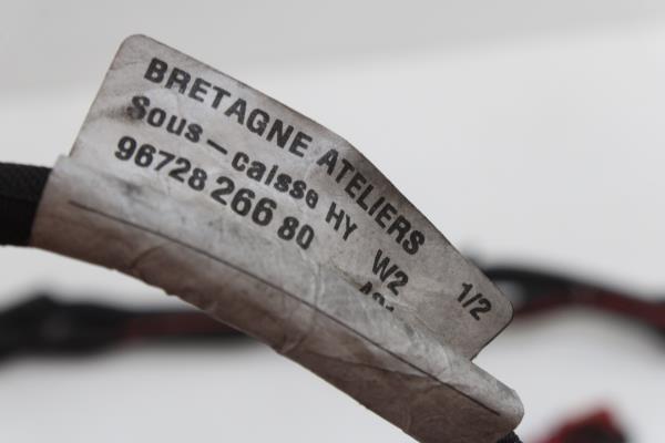 Instalação Elétrica do Motor PEUGEOT 508 RXH Imagem-1