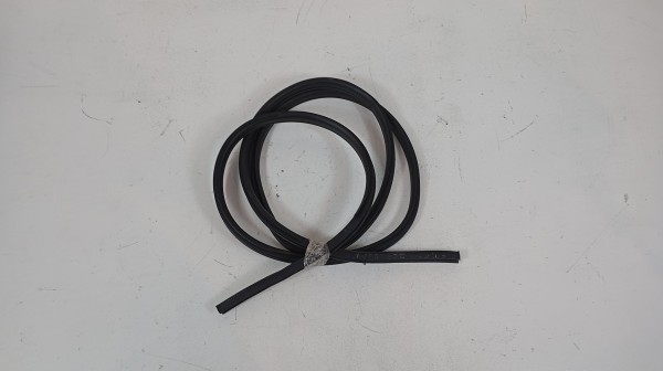 Borracha Porta Frente Esquerda NISSAN LEAF (ZE1_) | 17 - 