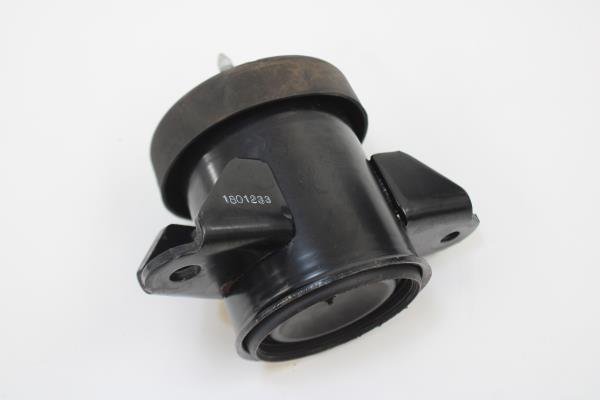 Apoio do Motor NISSAN LEAF (ZE1_) | 17 -  Imagem-2