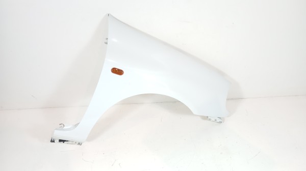 Guarda Lamas Frente Direito RENAULT CLIO II Caixa (SB0/1/2_) | 98 - 