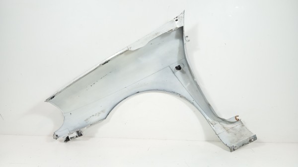 Guarda Lamas Frente Direito RENAULT CLIO II Caixa (SB0/1/2_) | 98 -  Imagem-2
