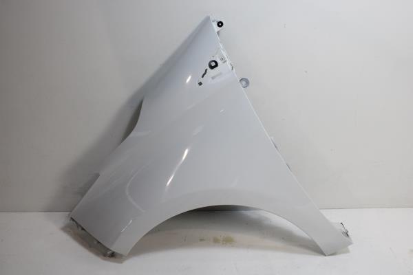 Guarda Lamas Frente Esquerdo RENAULT ZOE 2019- Imagem-0