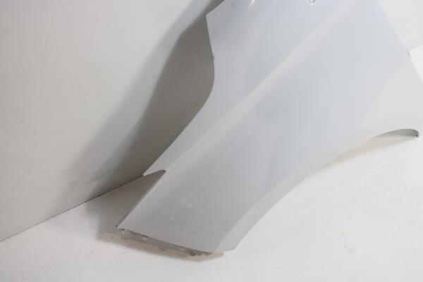 Guarda Lamas Frente Esquerdo RENAULT ZOE 2019- Imagem-1