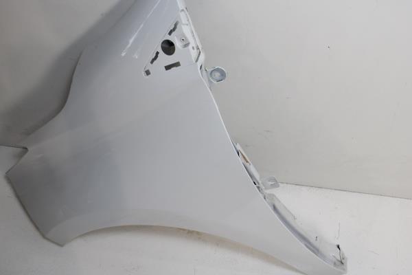 Guarda Lamas Frente Esquerdo RENAULT ZOE 2019- Imagem-2