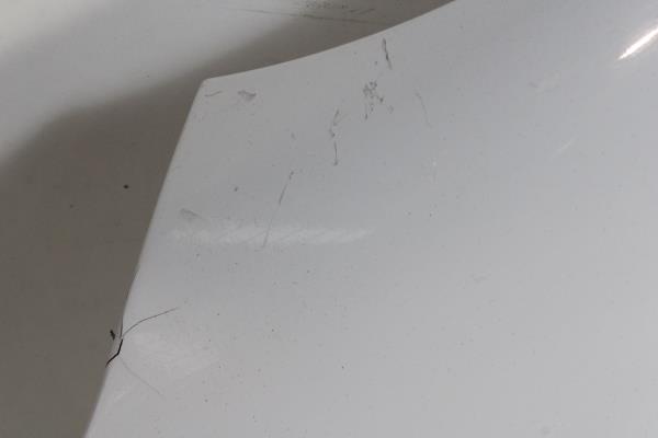 Guarda Lamas Frente Esquerdo RENAULT ZOE 2019- Imagem-3