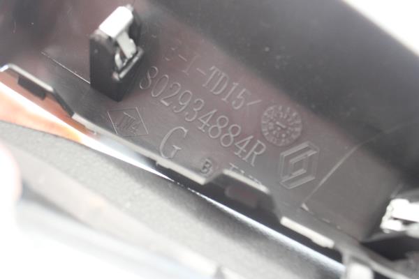 Quartela / Forra Porta Frente Esquerda RENAULT ZOE 2019- Imagem-2