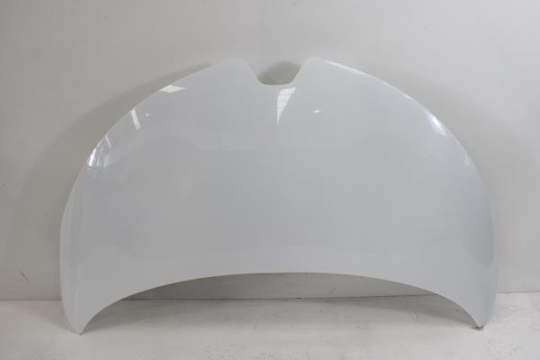 Capo RENAULT ZOE (BFM_) | 12 - 