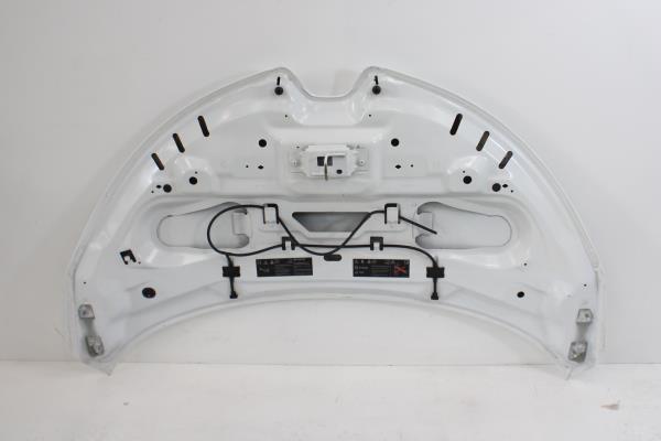 Capo RENAULT ZOE (BFM_) | 12 -  Imagem-1