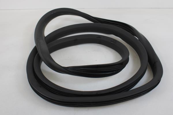 Borracha Porta Frente Direita RENAULT ZOE (BFM_) | 12 - 