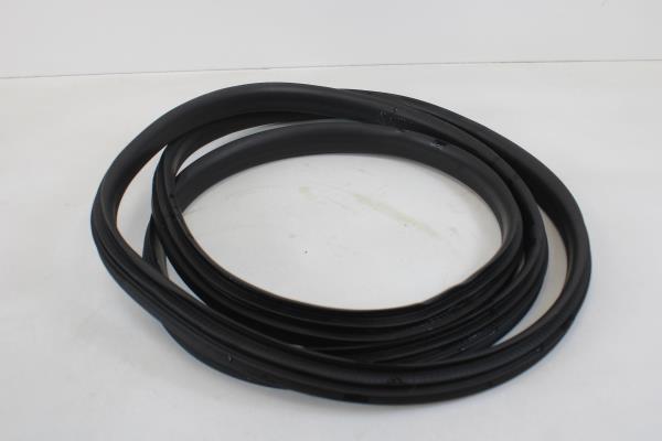 Borracha Porta Frente Esquerda RENAULT ZOE (BFM_) | 12 - 