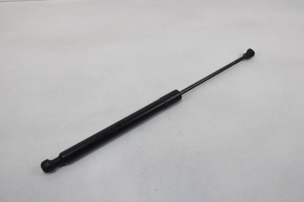 Amortecedor Bagageira RENAULT ZOE (BFM_) | 12 - 