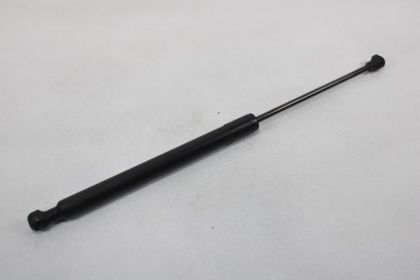 Amortecedor Bagageira RENAULT ZOE (BFM_) | 12 - 