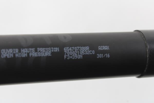 Amortecedor Capot RENAULT ZOE (BFM_) | 12 -  Imagem-1