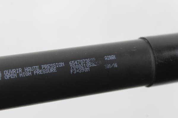 Amortecedor Capot RENAULT ZOE (BFM_) | 12 -  Imagem-1