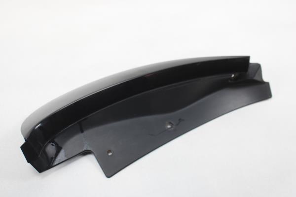 Friso Painel Direito RENAULT ZOE (BFM_) | 12 - 