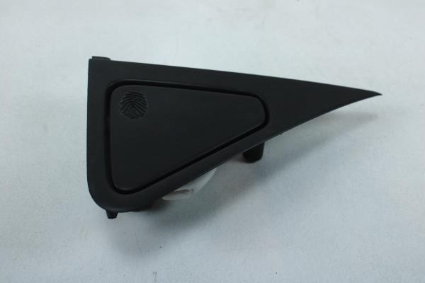 Puxador Exterior Porta Traseira Esquerda RENAULT ZOE (BFM_) | 12 -  Imagem-1