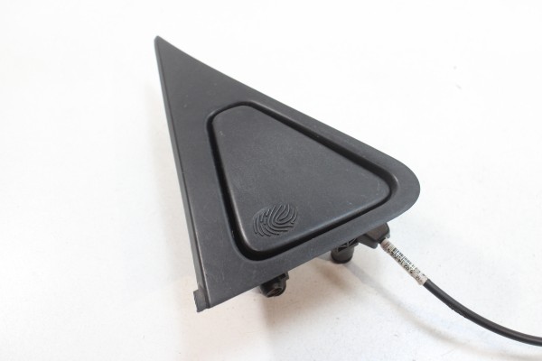 Puxador Exterior Porta Traseira Esquerda RENAULT ZOE (BFM_) | 12 - 