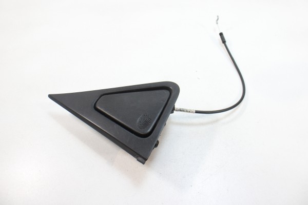 Puxador Exterior Porta Traseira Esquerda RENAULT ZOE (BFM_) | 12 -  Imagem-1