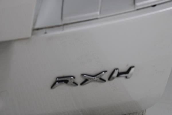 Porta da Mala Bagageira PEUGEOT 508 RXH Imagem-2