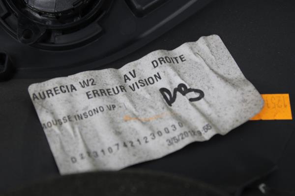 Quartela / Forra Porta Frente Direita PEUGEOT 508 RXH Imagem-6