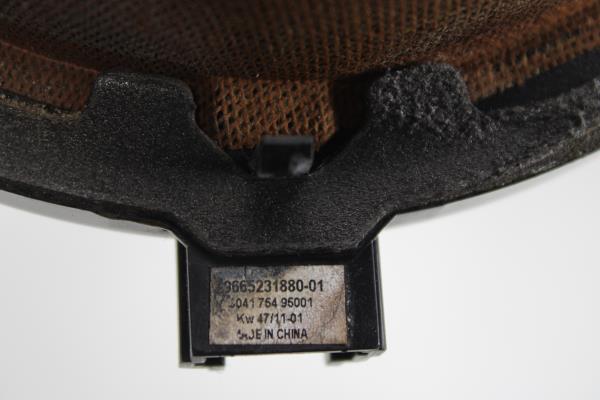 Coluna Porta Traseira Esquerda PEUGEOT 508 RXH Imagem-3