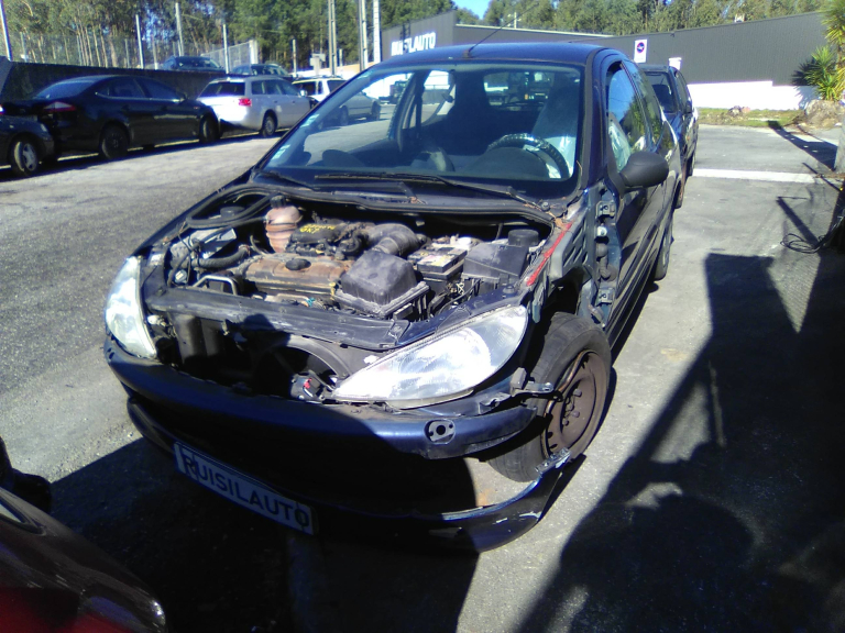 206 Hatchback  PEUGEOT - ID V_V6702