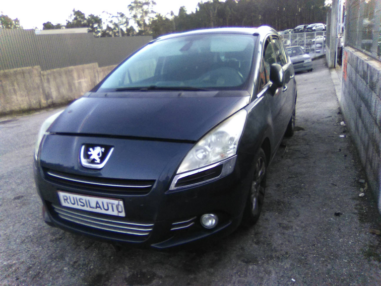 5008  PEUGEOT - ID V_V7848